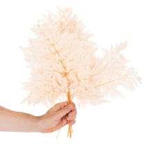 Artículo Decoración de helechos secos para jarrón de 42 cm, 10 unidades.