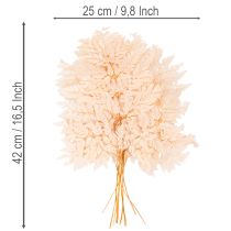 Artículo Decoración de helechos secos para jarrón de 42 cm, 10 unidades.