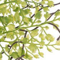 Artículo Rama artificial de rusco verde para decoración floral, 41 cm.