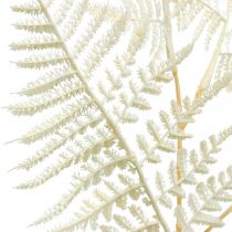 Helecho de hoja decorativa, planta artificial, rama de helecho, hoja de helecho decorativa blanca L59cm