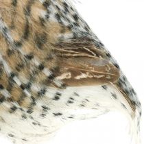 Artículo Búho del bosque, decoración otoñal, búho decorativo, Halloween H16cm