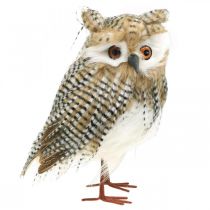 Artículo Búho decorativo, otoño, animal del bosque, decoración de invierno H27cm