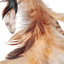 Artículo Corona de plumas en color marrón claro, corona decorativa plumas Ø20cm 3 uds