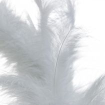 Guirnalda de Plumas Blanca Ø20cm Guirnalda Deco Primavera Plumas Reales 3pcs