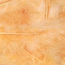 Artículo Plumas naranja para manualidades primavera Pascua 5-10cm 20g