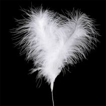 Artículo Plumas sobre alambre L27cm blanco 6 piezas