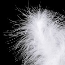 Artículo Plumas sobre alambre L27cm blanco 6 piezas