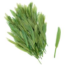 Artículo Plumas decorativas para un ambiente elegante y decoraciones impresionantes 10cm