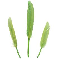 Artículo Plumas decorativas para un ambiente elegante y decoraciones impresionantes 10cm