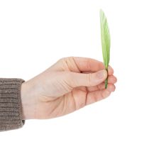 Artículo Plumas decorativas para un ambiente elegante y decoraciones impresionantes 10cm