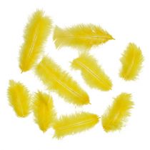 Plumas 30g amarillo dorado