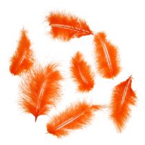 Artículo Plumas cortas 30g Naranja