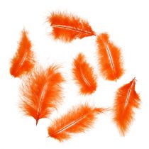 Artículo Plumas 30g naranja