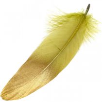 Artículo Plumas para manualidades Plumas decorativas Verde-dorado L16-20cm 24pcs