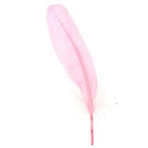 Artículo Plumas para manualidades Plumas de ganso rosa 18cm - 20cm 20g x 2uds