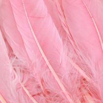 Artículo Plumas para manualidades Plumas de ganso rosa 18cm - 20cm 20g x 2uds