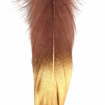 Plumas burdeos, oro 18-23cm 24pcs