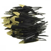 Artículo Plumas decorativas plumas reales negras y doradas para manualidades 12-14cm 72 piezas