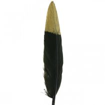 Plumas decorativas negras, plumas reales doradas para manualidades 12-14cm 72p