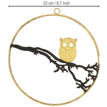 Artículo Decoración ventana búho en rama otoño, anillo decorativo metal 22cm