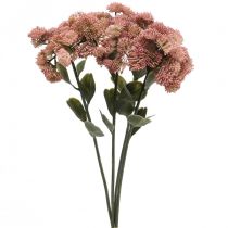 Artículo Stonecrop Flores artificiales Sedum Stonecrop rosa H48cm 4 piezas