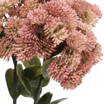 Stonecrop rosa sedum stonecrop flores artificiales H48cm 4pcs