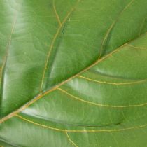 Artículo Ficus lyrata artificial de 120 cm, decorativo para salón.
