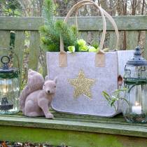 Bolso de fieltro con lentejuelas star nature set de 2