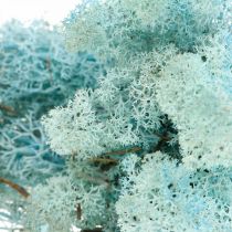 Musgo de decoración azul claro aguamarina musgo de reno musgo artesanal 400g