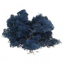 Artículo Deco musgo azul musgo seco para manualidades coloreado 500g