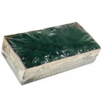 Artículo Musgo Verde Decorativo Musgo Islandés Preservado para Manualidades 400g