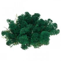 Artículo Musgo Verde Decorativo Musgo Islandés Preservado para Manualidades 400g