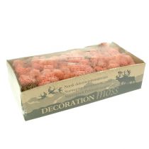 Artículo Musgo decorativo musgo de Islandia rosa 400g