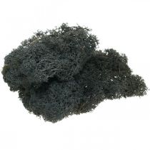 Artículo Musgo Decorativo Negro conserva musgo de Islandia para manualidades 400g