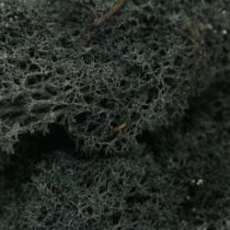 Deco moss musgo de reno preservado negro para manualidades 400g
