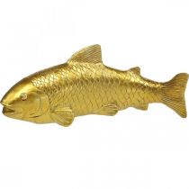 Pez decorativo para poner, escultura pez poliresina dorado grande L25cm