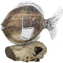 Artículo Soporte de madera pez decorativo en raíz Decoración marinera 27cm