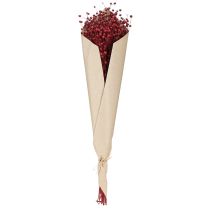 Artículo Flores secas decorativas de lino rojo burdeos, 55 cm, 80 g