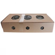 Artículo Líquenes, musgo de liquen, musgo de árbol, musgo decorativo, natural 1 kg