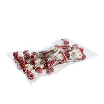 Artículo Amanita muscaria sobre alambre 12 vols.