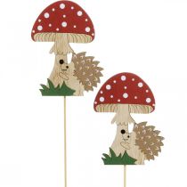 Tapones decorativos, decoración otoñal de madera, erizo con hongo H11cm L34cm 12pcs