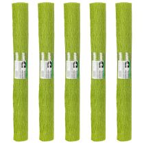 Artículo Papel crepé para floristería, papel crepé para floristería, verde hierba, 50×250 cm, 5 unidades
