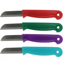 Cuchillo florista 15cm 10 piezas - color aleatorio