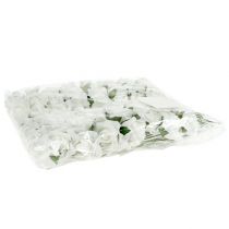 Artículo Rosa de foam Ø 3,5cm blanco 48 uds.
