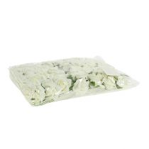 Artículo Rosas de espuma Ø3,5cm color crema, 48 unidades