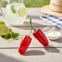 Artículo Pimientos rojos artificiales en rama decoración vegetal L8cm