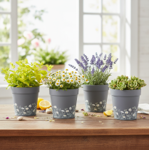 Artículo Maceta con estampado floral para decoración moderna de hogar y balcón de verano, 13 cm, 4 piezas