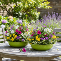 Artículo Bandeja de plantación para una atractiva decoración vegetal en el salón, 29 cm, 2 piezas