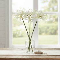Artículo Nerine Guernsey Lily Flor Artificial Blanco Amarillo Ø15cm L65cm