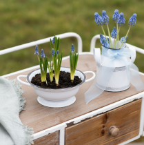 Artículo Bol decorativo de metal, blanco y negro, Ø16,5 cm, H6,5 cm, 4 piezas